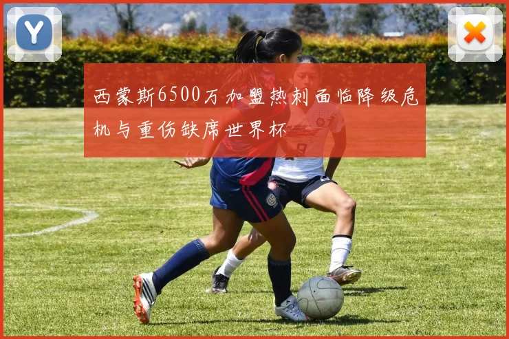 西蒙斯6500万加盟热刺面临降级危机与重伤缺席世界杯